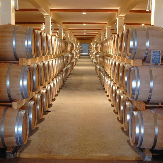 Bordeaux Futures Forecast