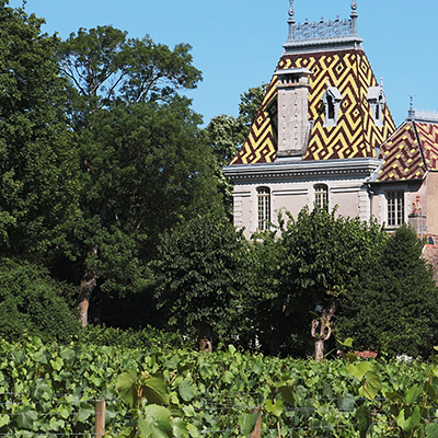 Burgundy Power Couple